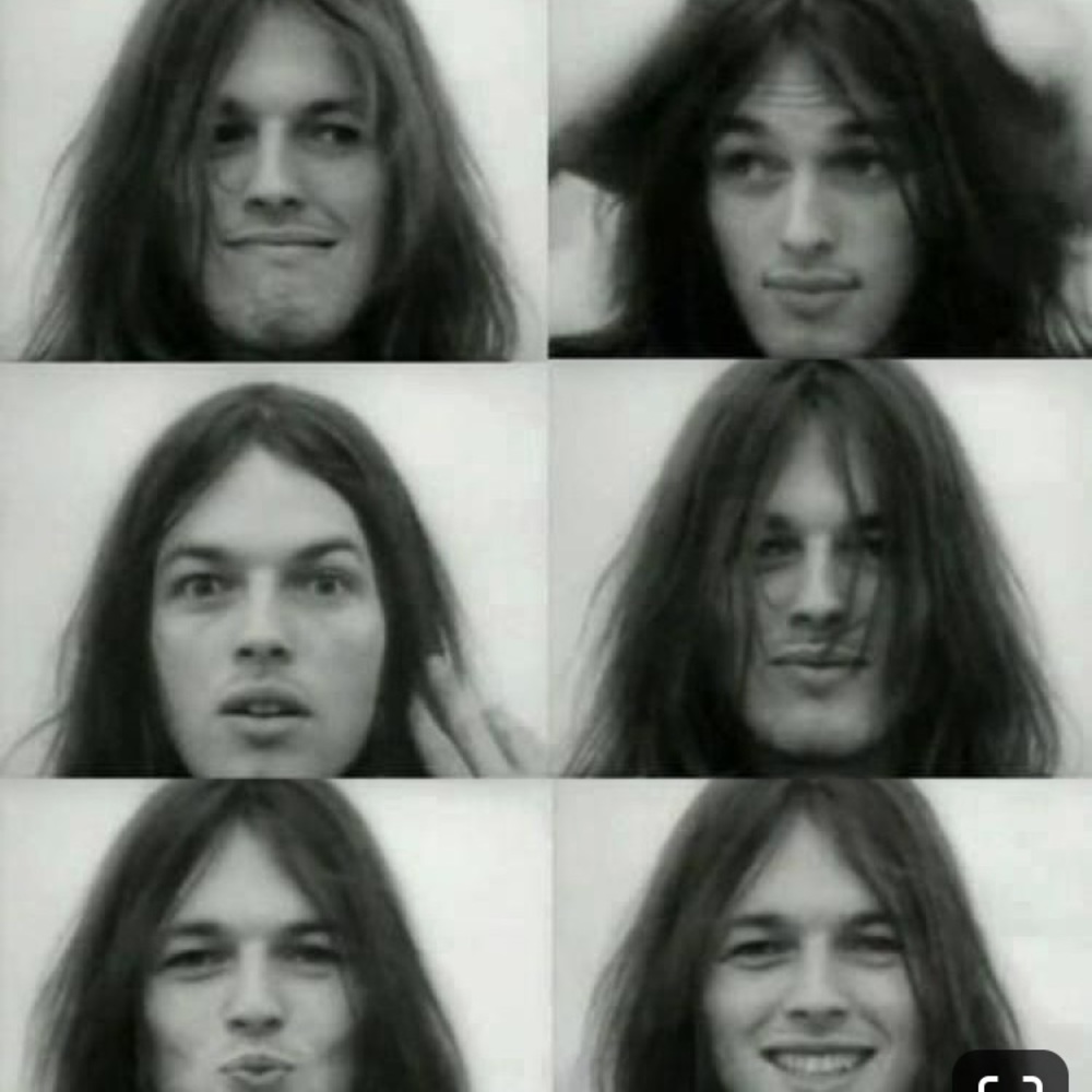 Meet your Posher, Holly